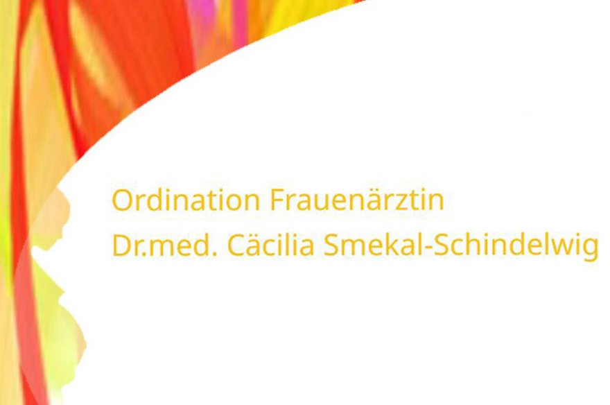 dr-smeka-logo