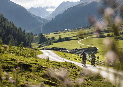 Biketour