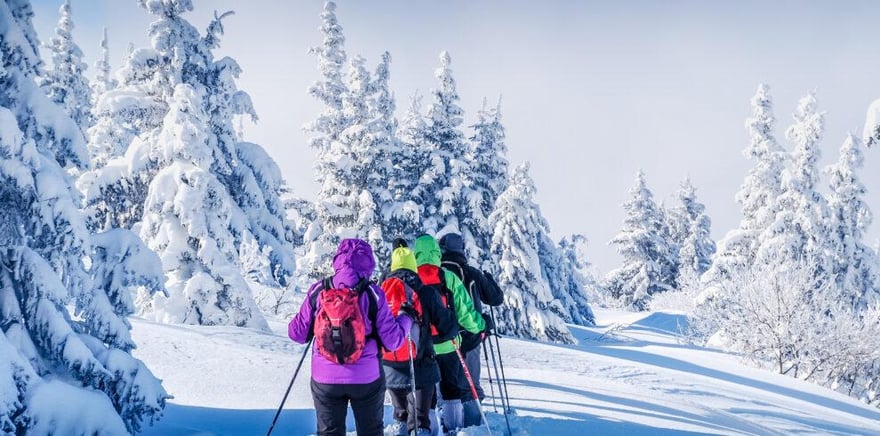 Schneeschuhwanderung Stubaital