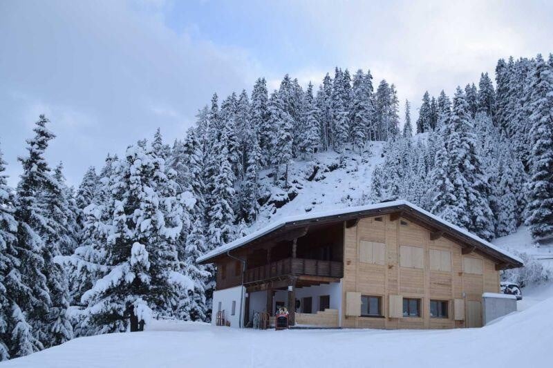 Milderaunalm Winter.jpg