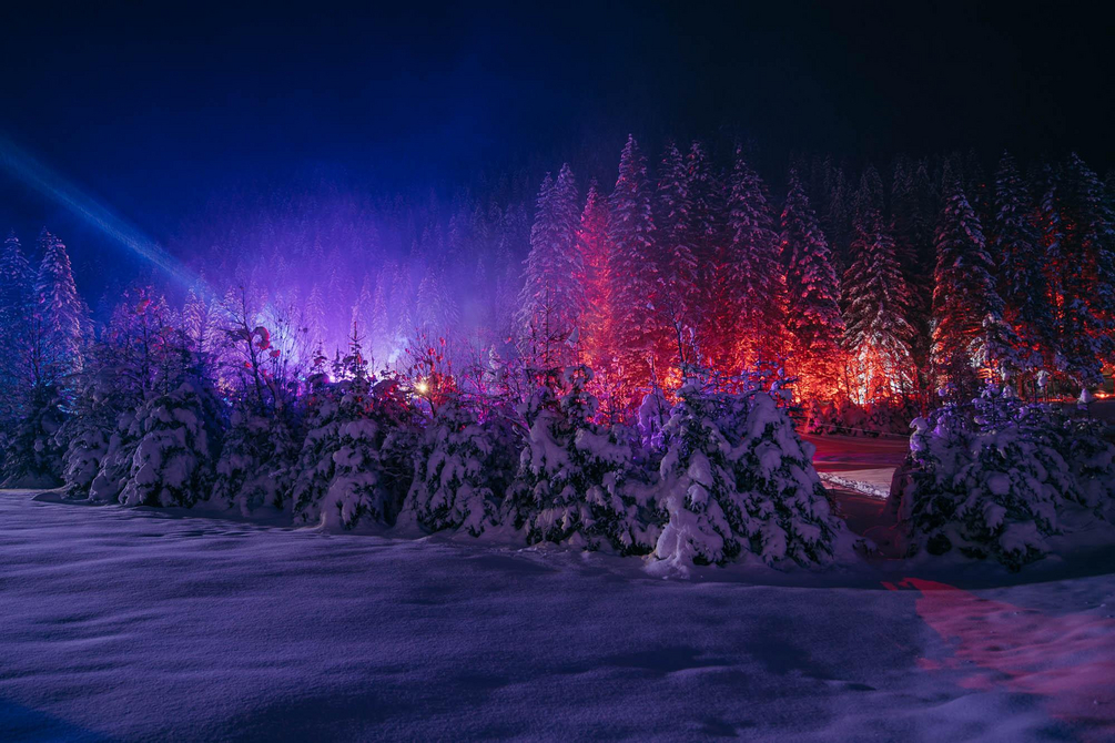 Winter Wandernacht 2