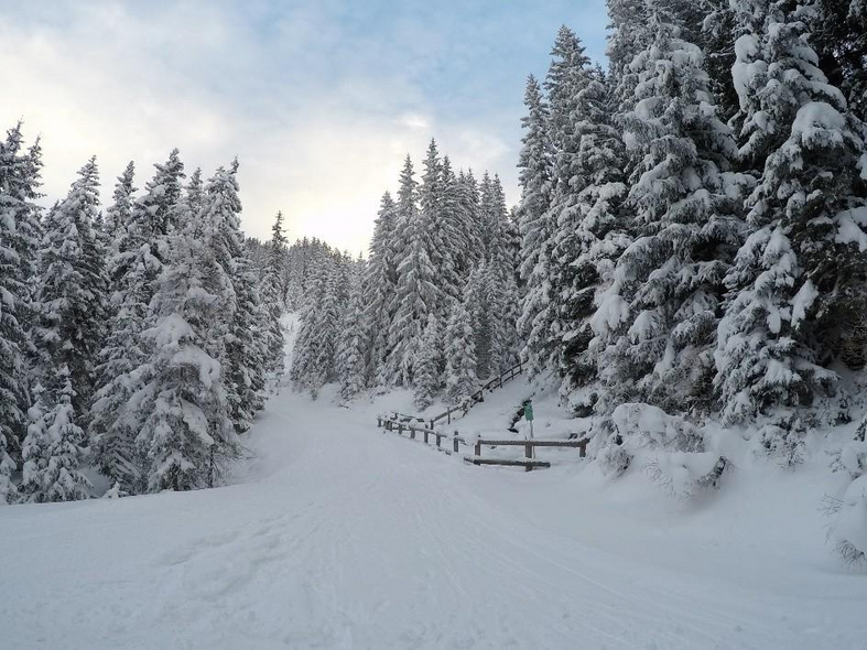 Winterwanderung