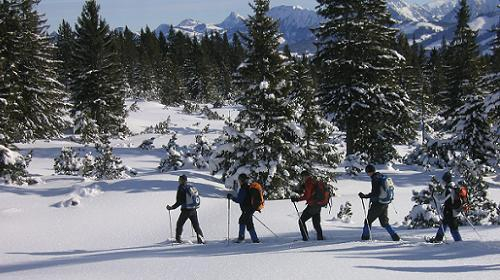 Schneeschuhwanderung