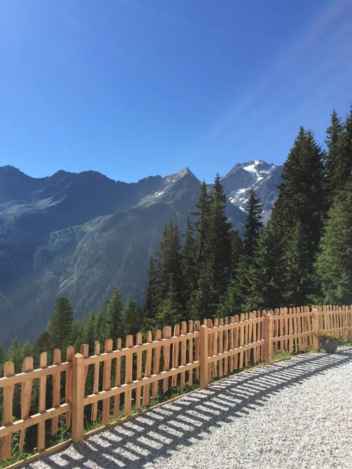 Milderaunalm Sommer 3